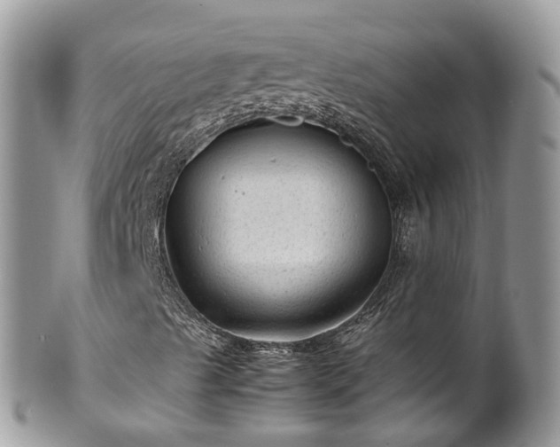 X0000100421489200806131047