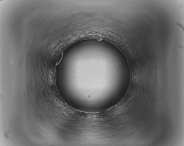 X0000100421490200806131047