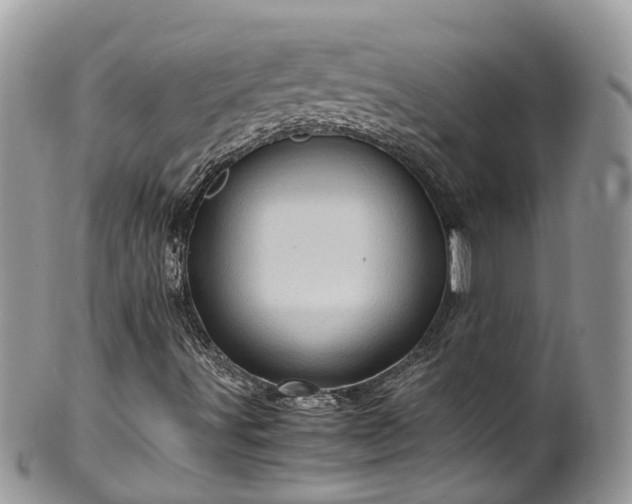 X0000100421491200806131047