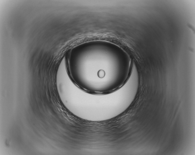 X0000100421492200806131047