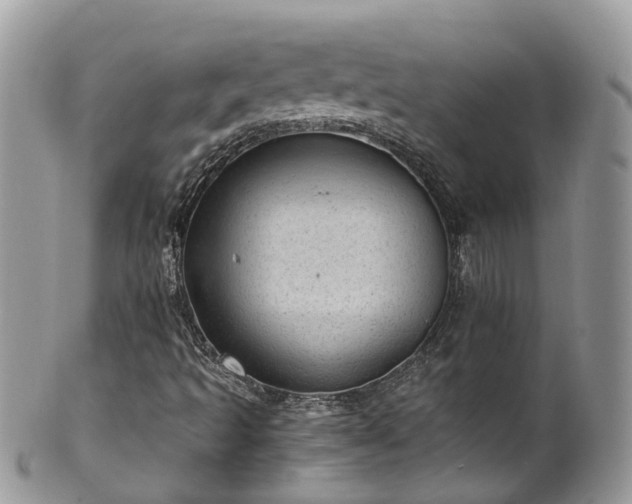 X0000100421493200806131047