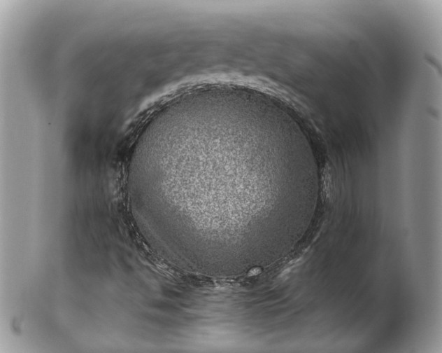 X0000100421494200806131047