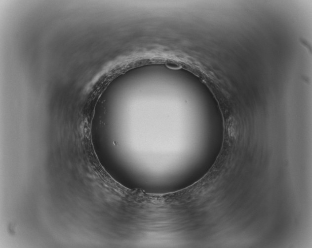 X0000100421495200806131047