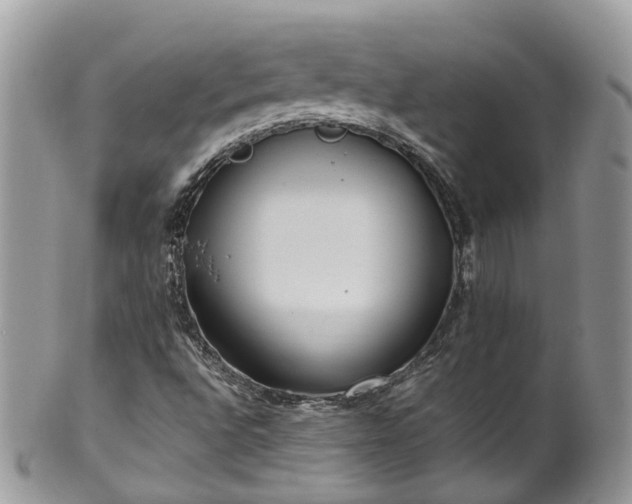 X0000100421496200806131047