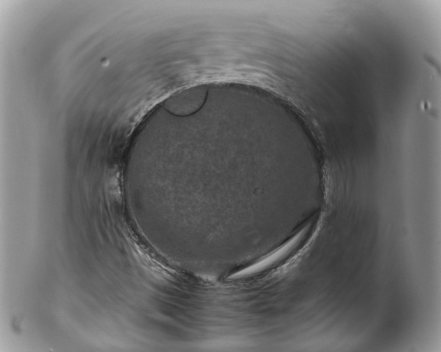 X0000100421497200806131047