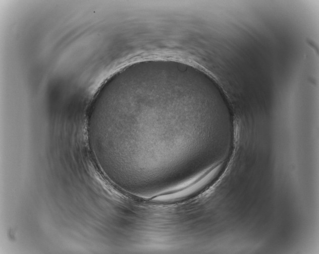 X0000100421498200806131047