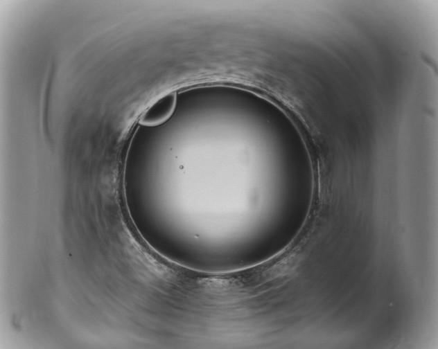 X0000100421500200806131047