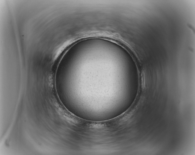 X0000100421501200806131047