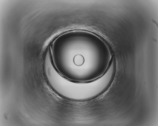 X0000100421502200806131047