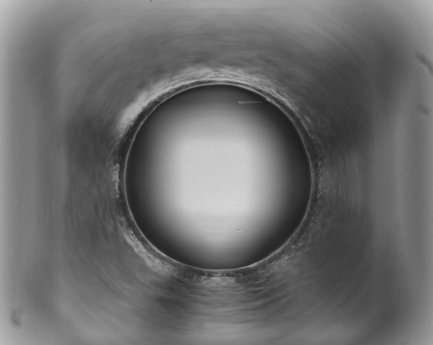 X0000100421503200806131047