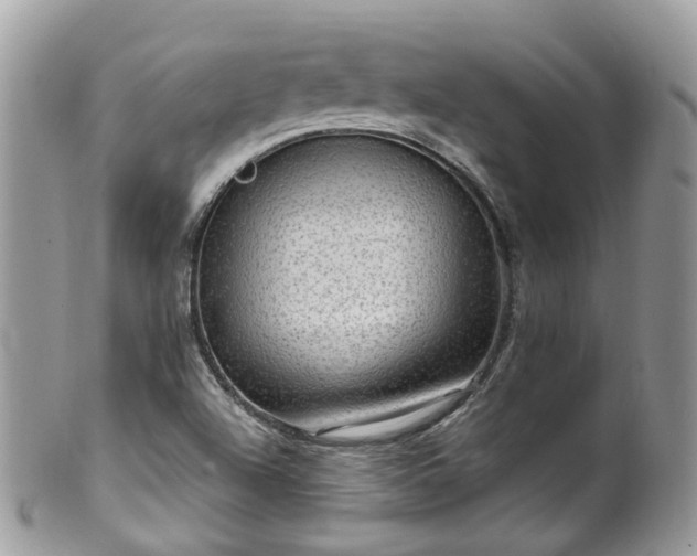 X0000100421504200806131047