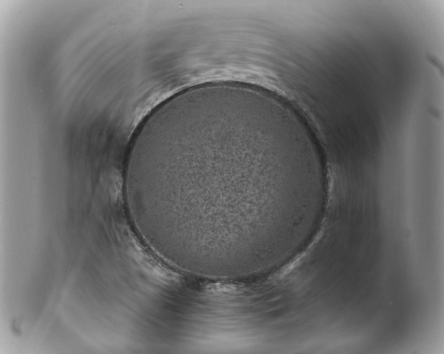 X0000100421505200806131047