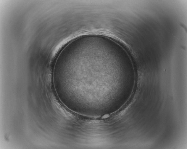 X0000100421506200806131047