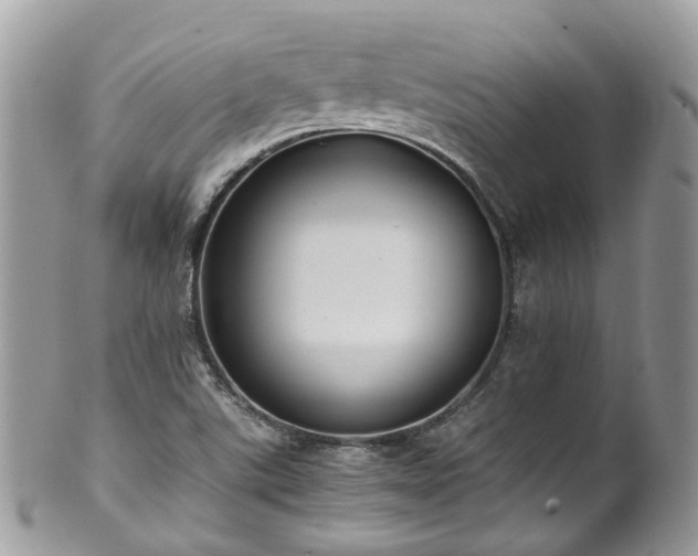 X0000100421507200806131047