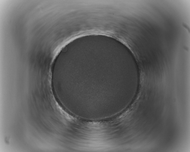 X0000100421508200806131047