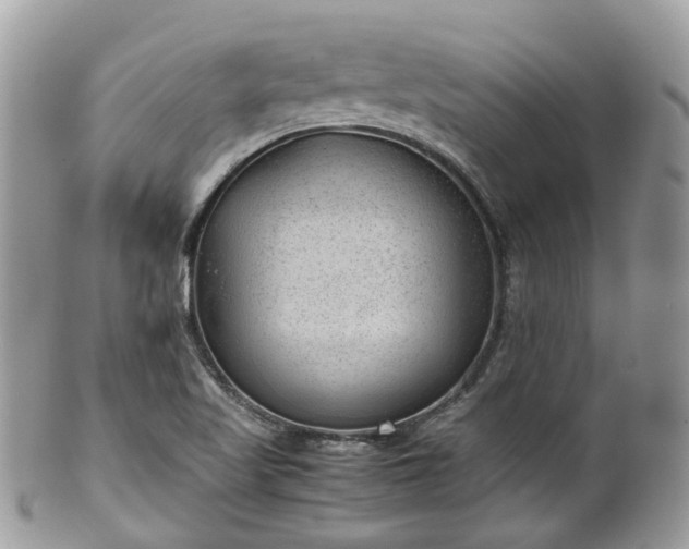 X0000100421509200806131047