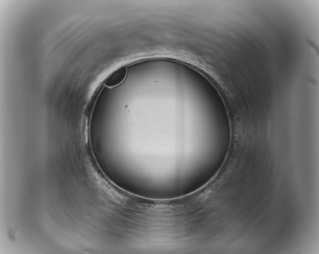 X0000100421510200806131047
