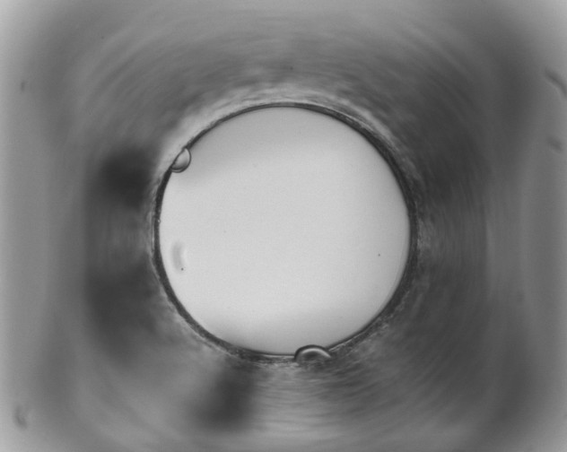 X0000100421512200806131047