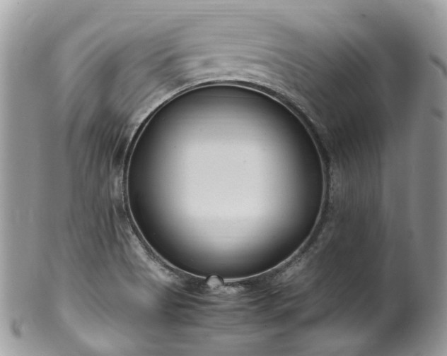 X0000100421513200806131047