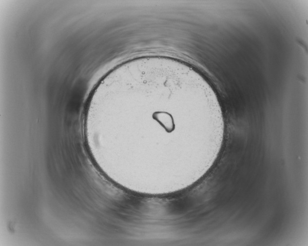 X0000100421514200806131047