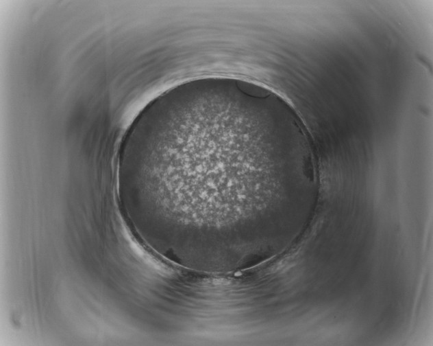 X0000100421515200806131047