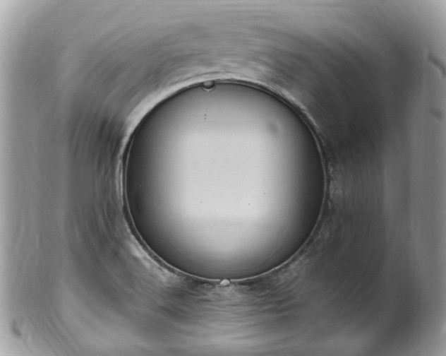 X0000100421516200806131047