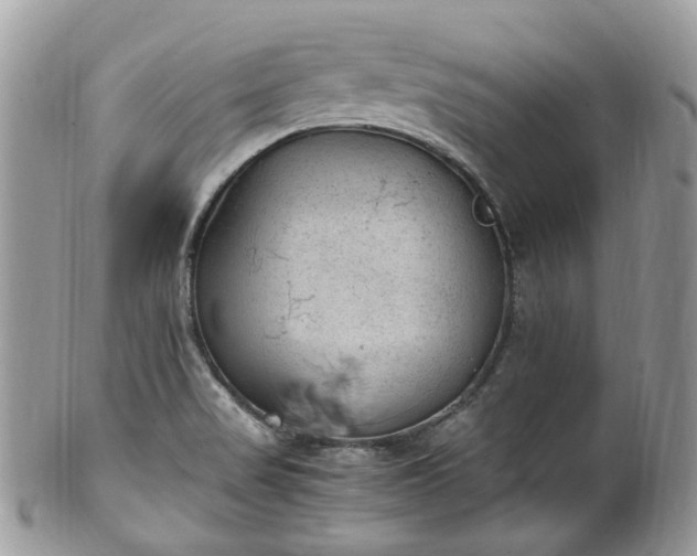 X0000100421517200806131047