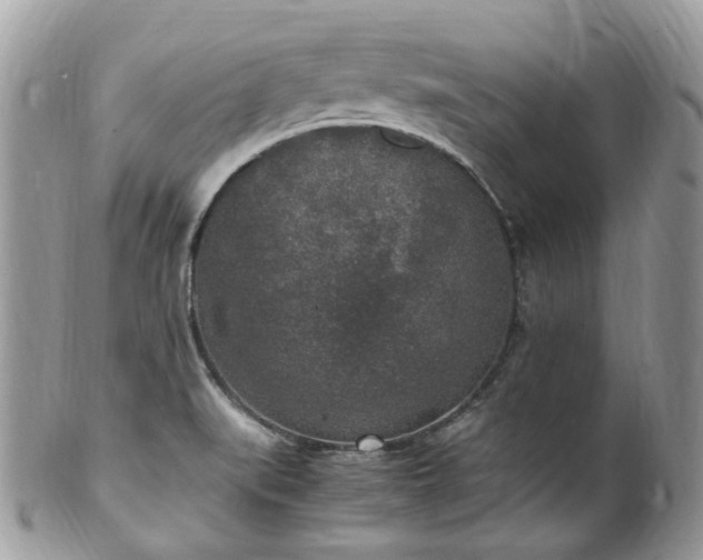 X0000100421519200806131047