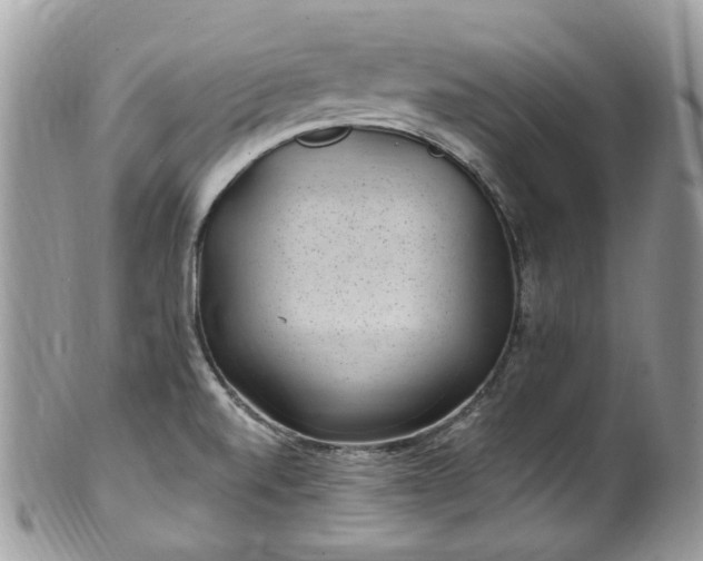 X0000100421520200806131047