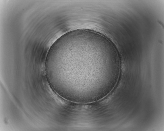 X0000100421521200806131047