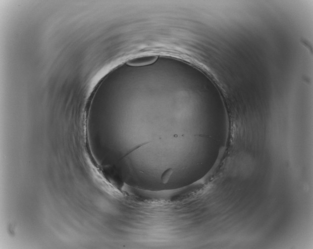 X0000100421522200806131047