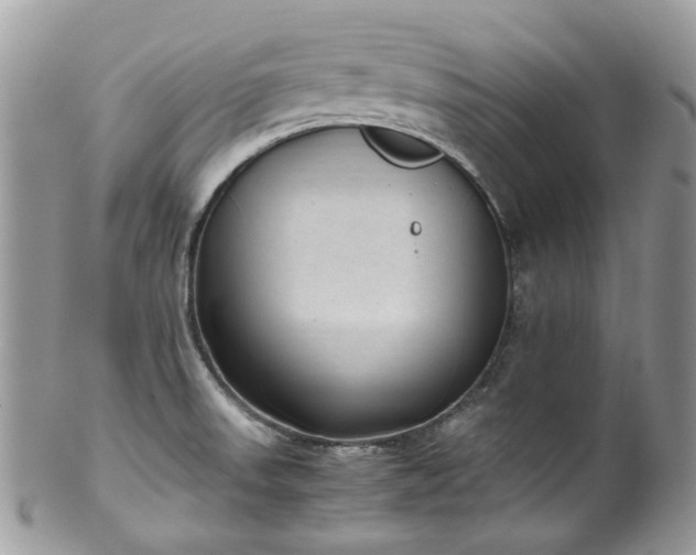 X0000100421523200806131047