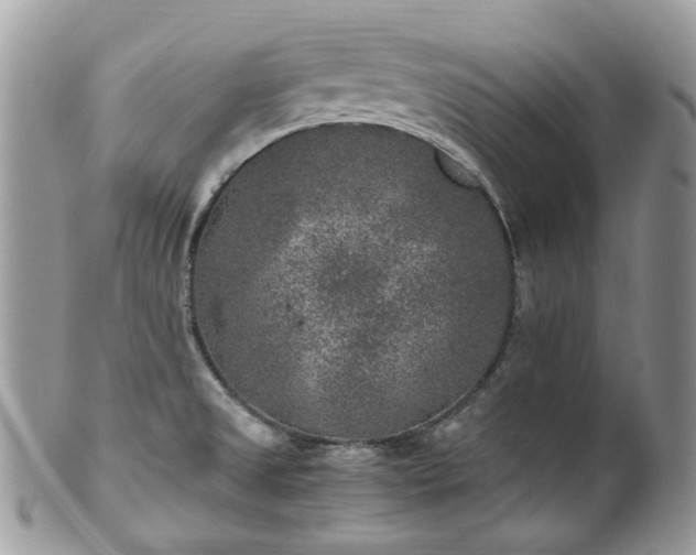 X0000100421525200806131047