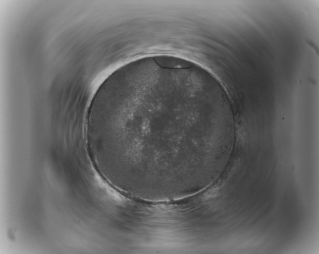 X0000100421527200806131047