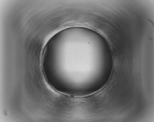 X0000100421528200806131047