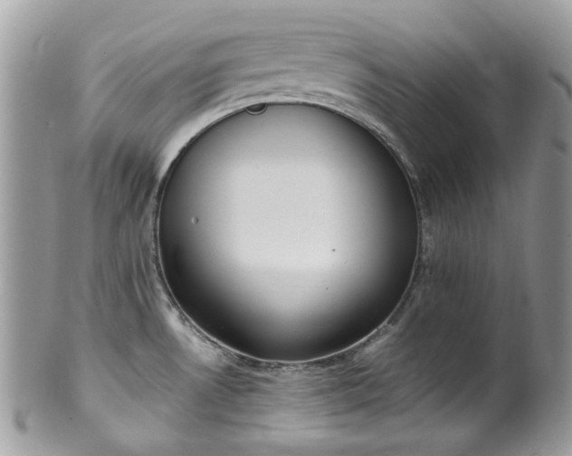 X0000100421530200806131047