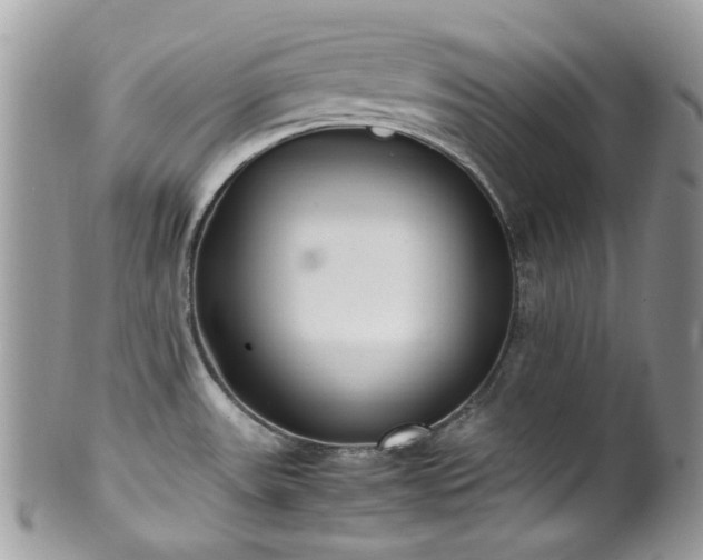 X0000100421531200806131047