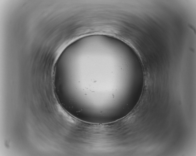 X0000100421532200806131047