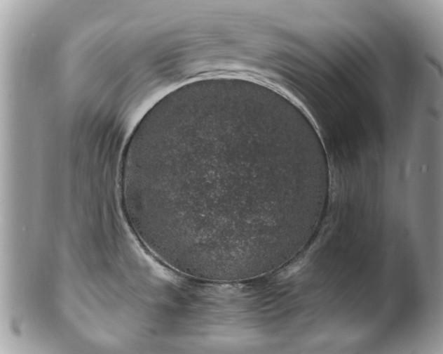 X0000100421533200806131047