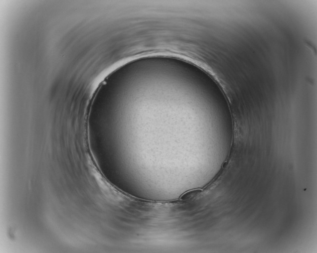 X0000100421534200806131047