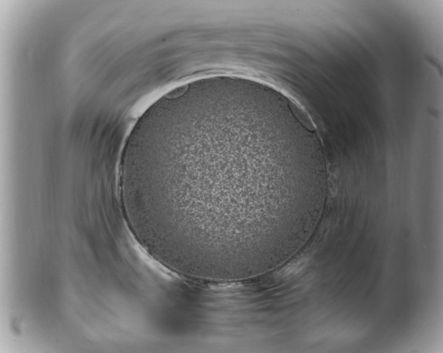X0000100421535200806131047