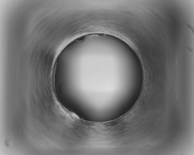 X0000100421536200806131047