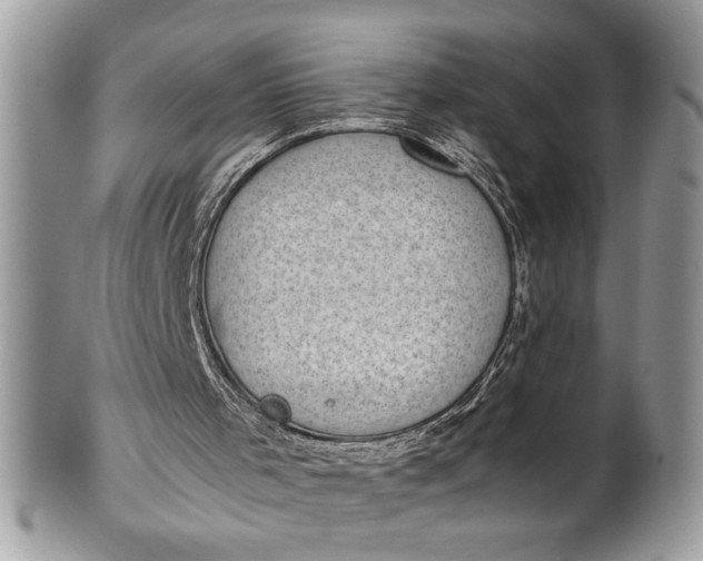 X0000100420001200806201833