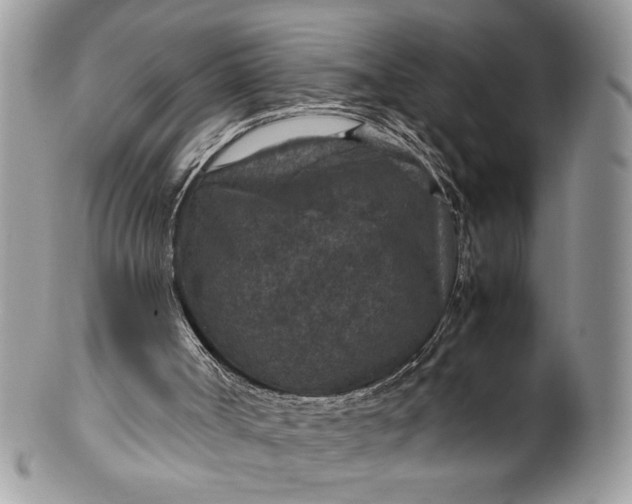 X0000100420002200806201833
