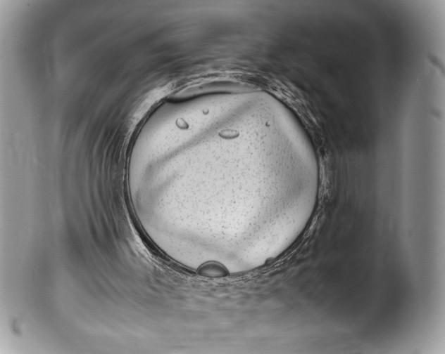 X0000100420003200806201833