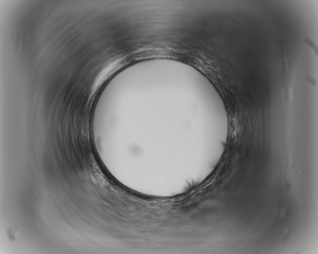 X0000100420004200806201833