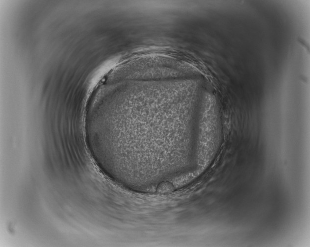 X0000100420006200806201833