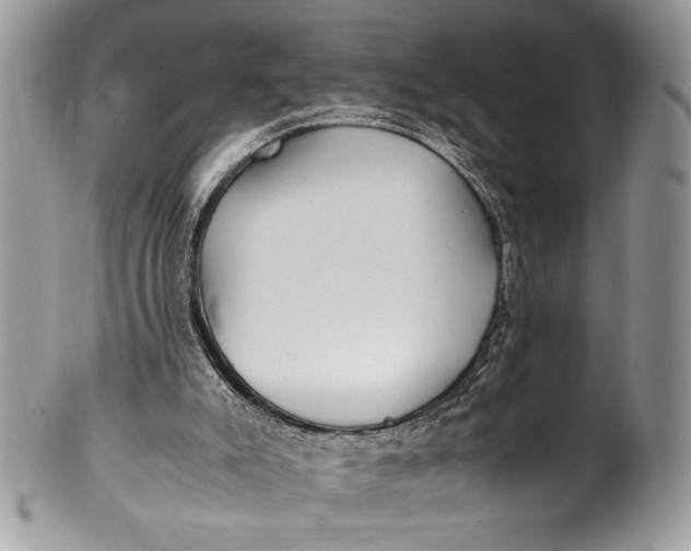 X0000100420007200806201833