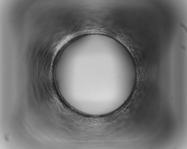 X0000100420008200806201833