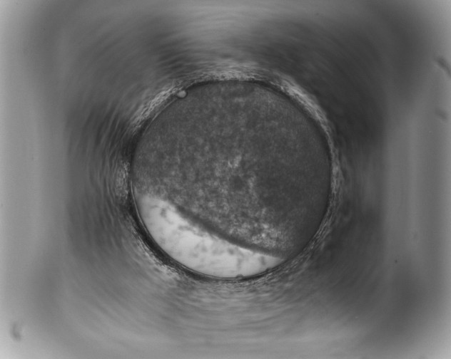 X0000100420009200806201833